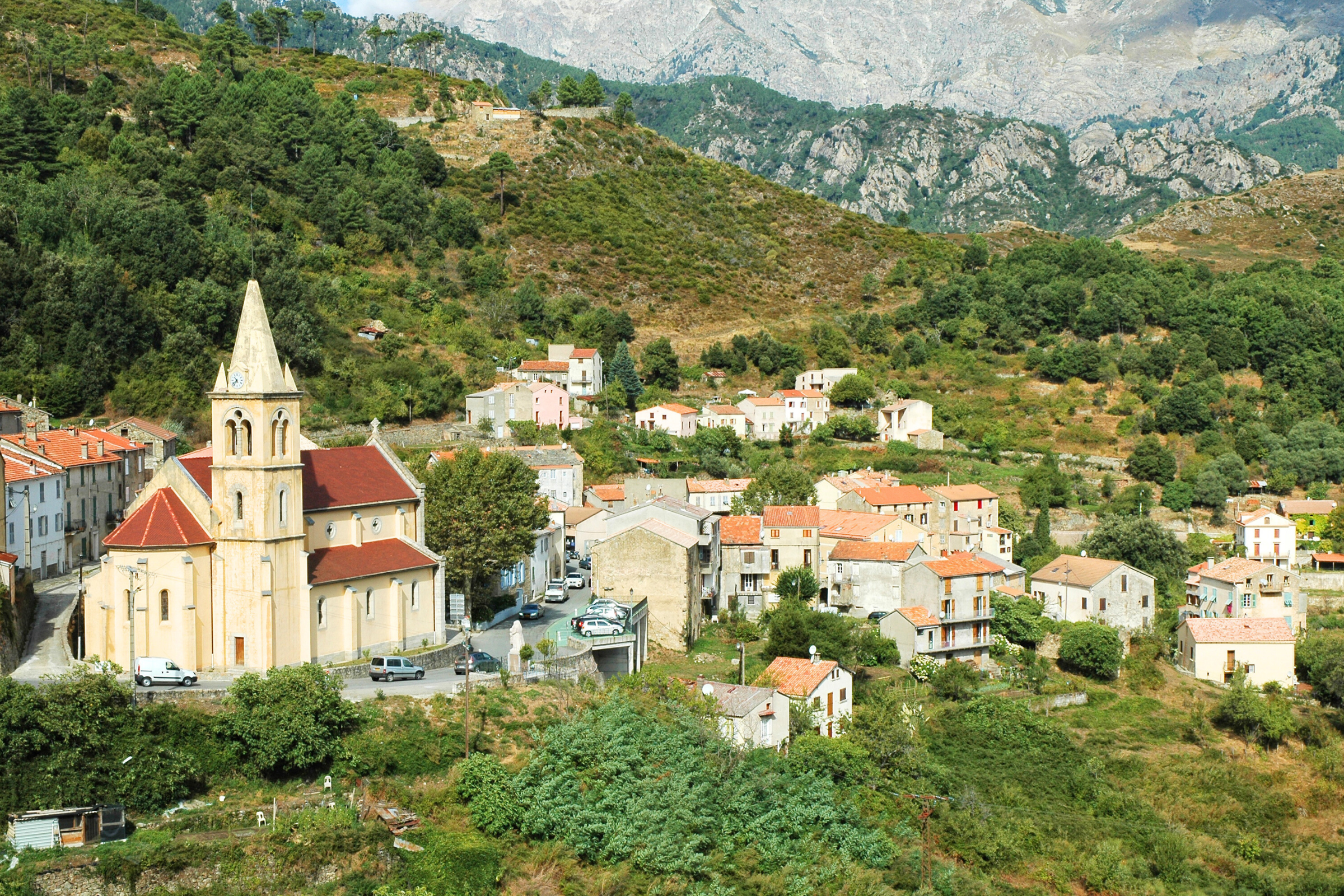 39_Vivario[1].webp